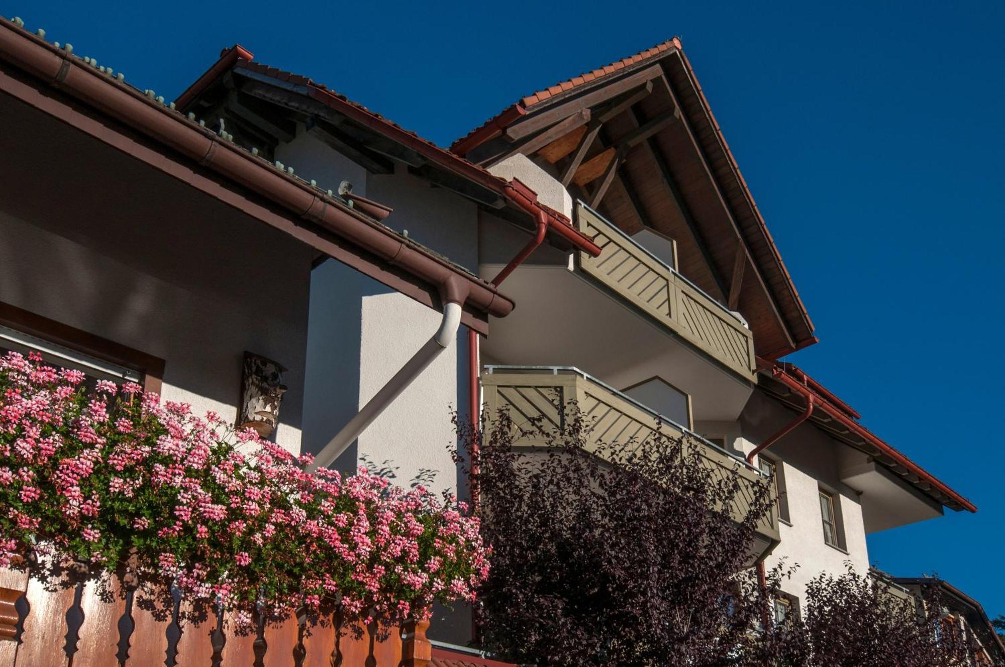 Apartment 03 - Ferienresidenz Roseneck, Mit Schwimmbad In Todtnauberg Bei Feldberg 외부 사진