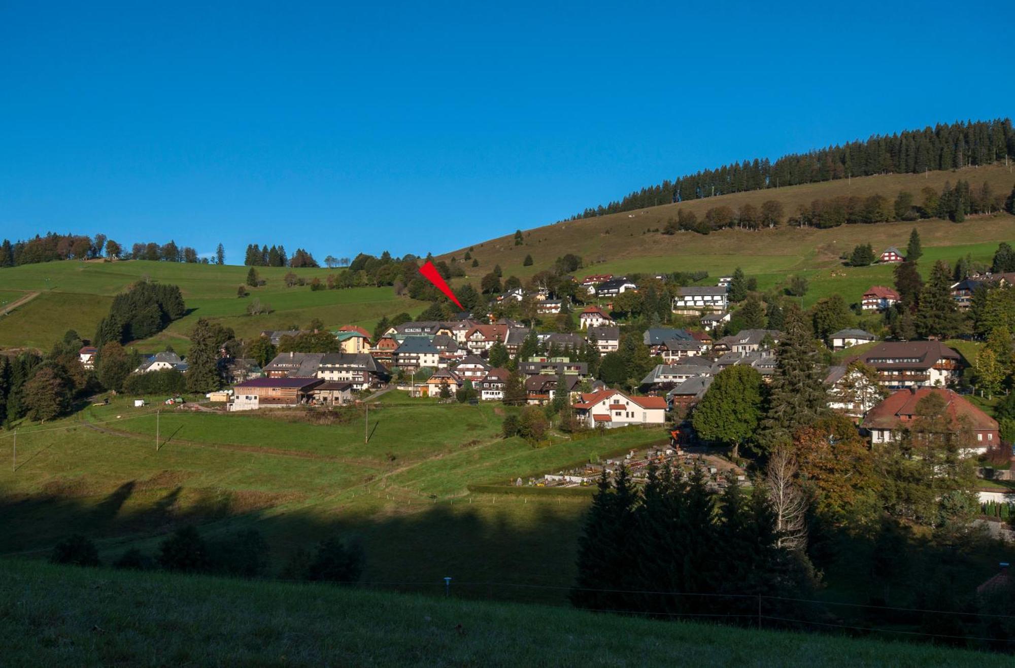 Apartment 03 - Ferienresidenz Roseneck, Mit Schwimmbad In Todtnauberg Bei Feldberg 외부 사진